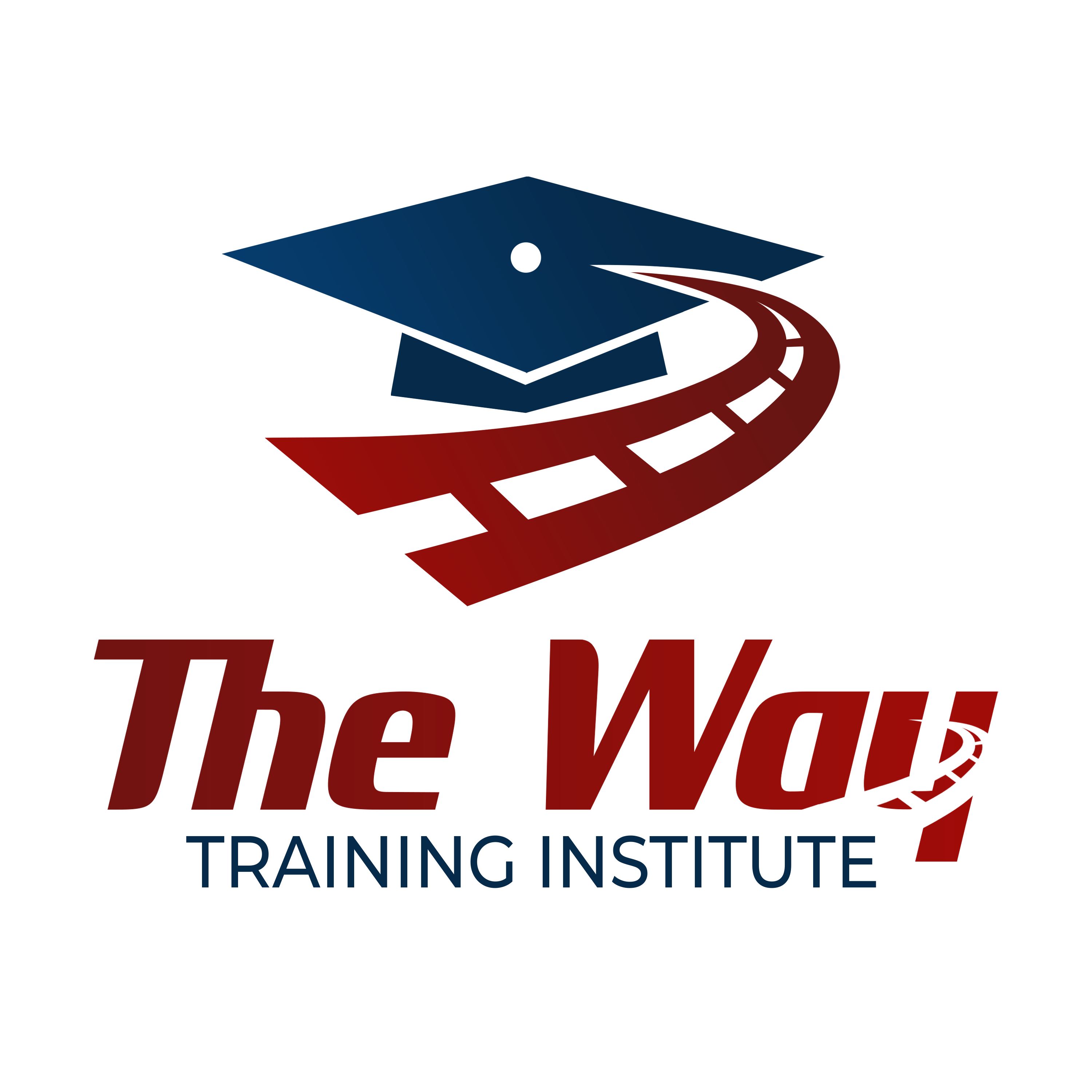 The way logo png - The Way Training Institute