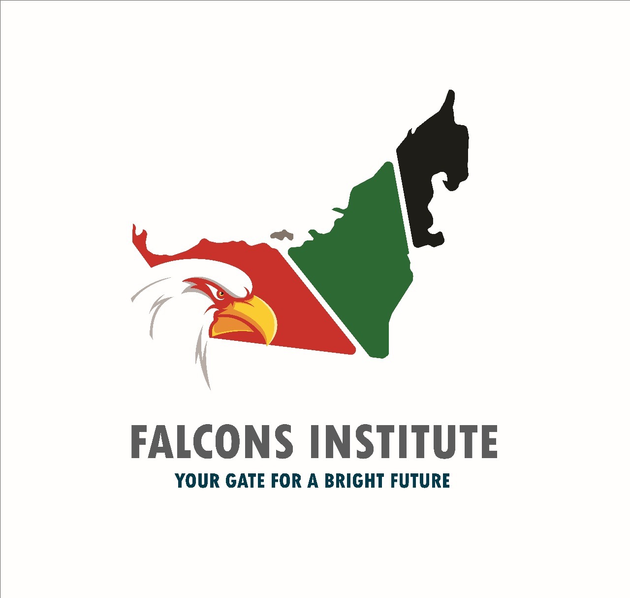 Falcons Union Institute Logo