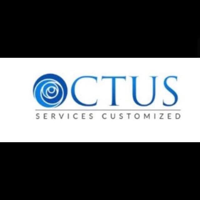 Octus Mindz Training Institute Logo
