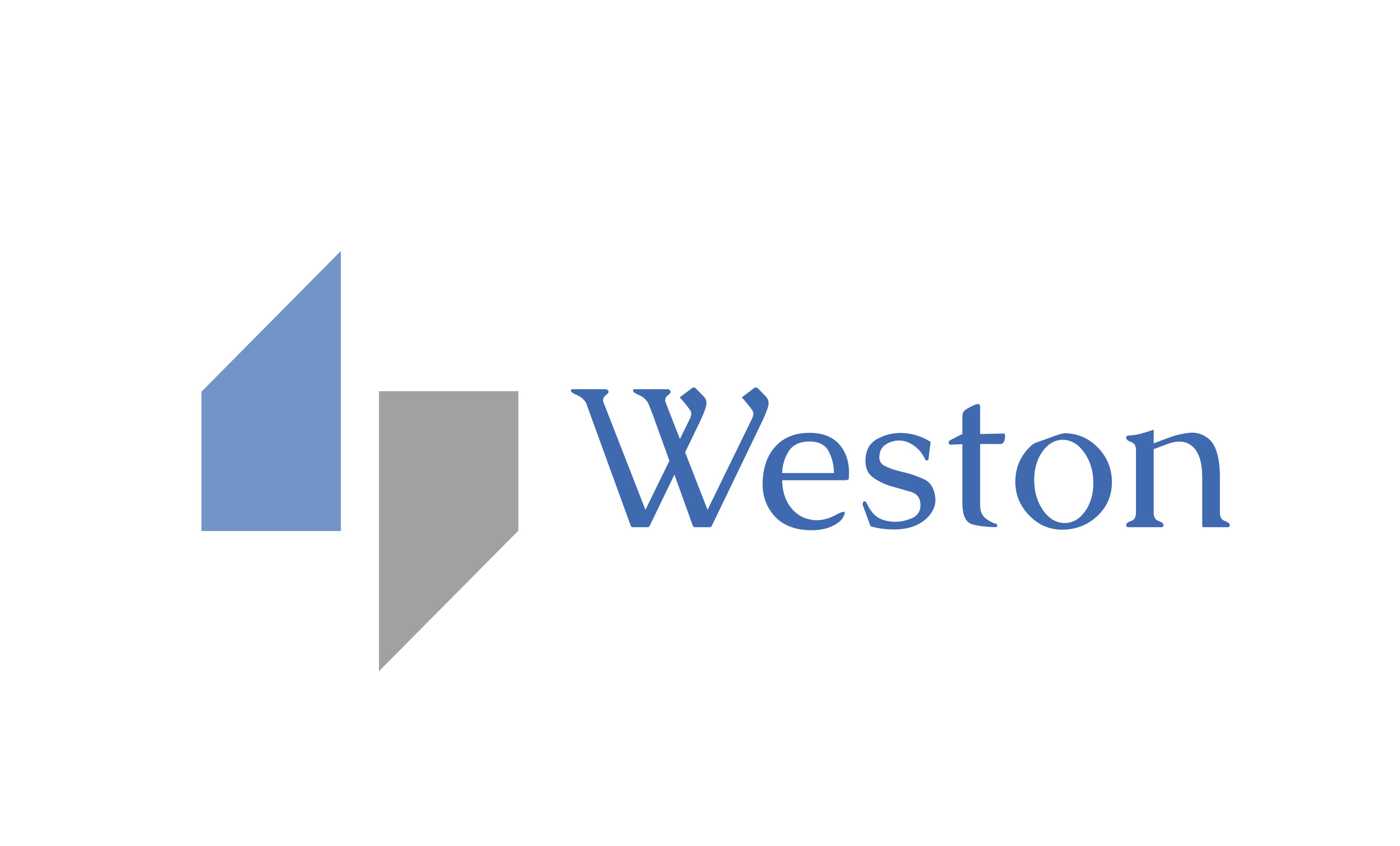 Weston FZE Logo