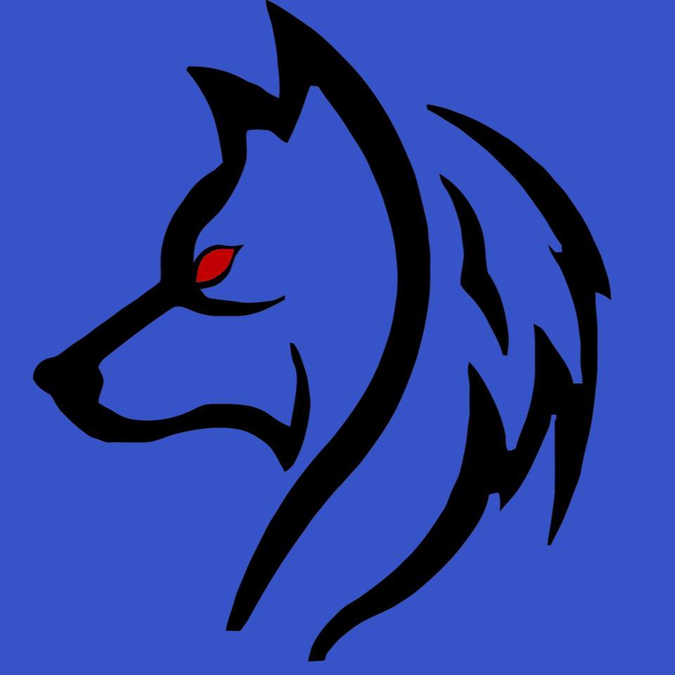 Wolves Zone MMA Academy Logo