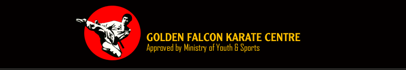 Golden Falcon Karate Logo