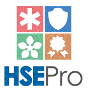 HSE Pro Safety Training and Consultancy Logo
